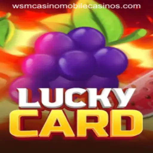 Exploring the Dynamic World of LuckyCard at WSM Casino